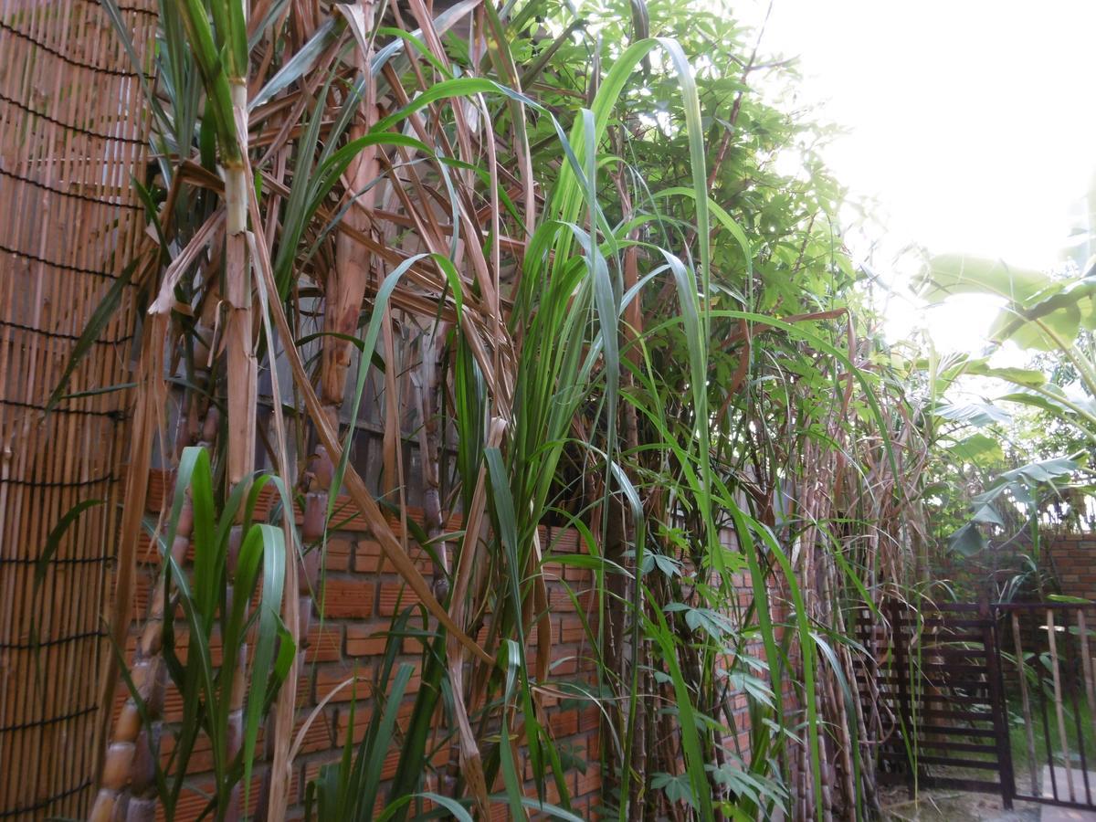 Andre Boutique Villa Siem Reap Exteriör bild