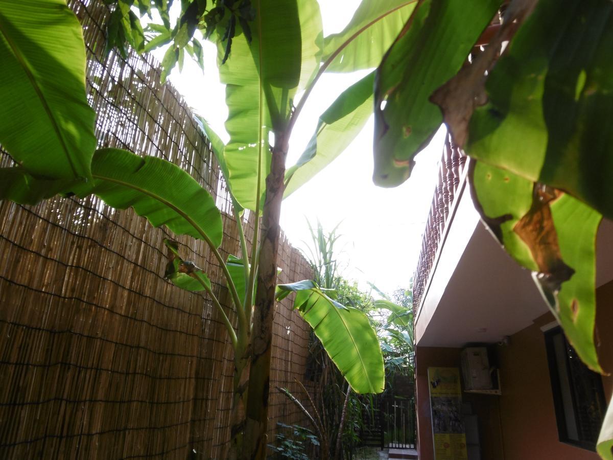 Andre Boutique Villa Siem Reap Exteriör bild